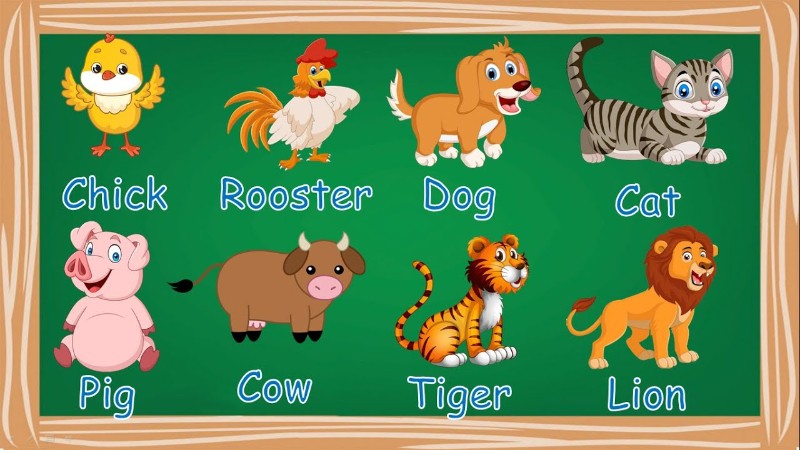 Dạy tiếng Anh con vật cho bé thông qua hình ảnh minh họa & thực tế. (Ảnh: Sưu tầm Internet)